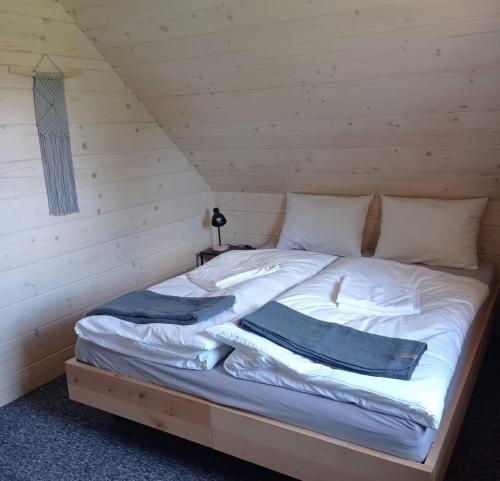 克鲁斯兹考采Jasna Chata Kluszkowce的小木屋内的一张床位,配有两个枕头