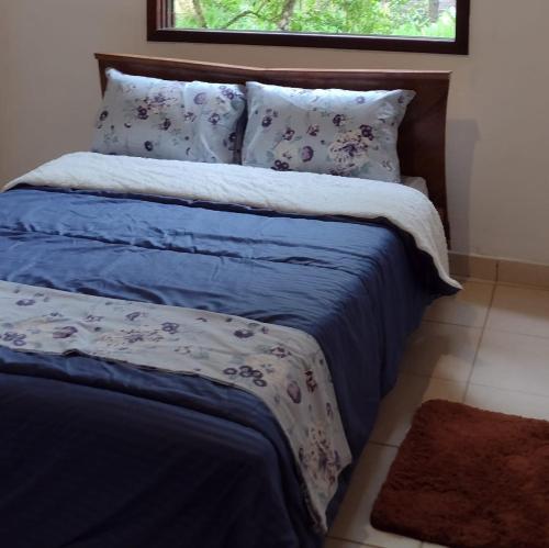 圣路易斯-杜帕赖廷加Casa de Campo no Parque Estadual da Serra do Mar的一间卧室配有一张带蓝色床单的床和一扇窗户。