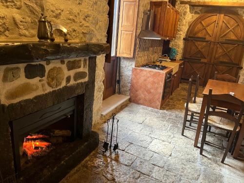 AulettaIl mulino ad acqua de Maffutiis的一间厨房,在房间内配有石制壁炉