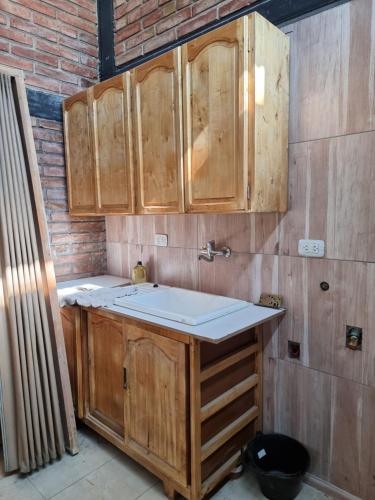 圣拉斐尔Casa Nina San Rafael的一个带木制橱柜和水槽的厨房