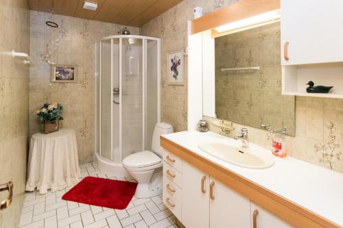 弗洛蒂尔大地旅馆的一间浴室