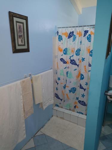 圣詹姆斯Lendal APT的带淋浴和浴帘的浴室