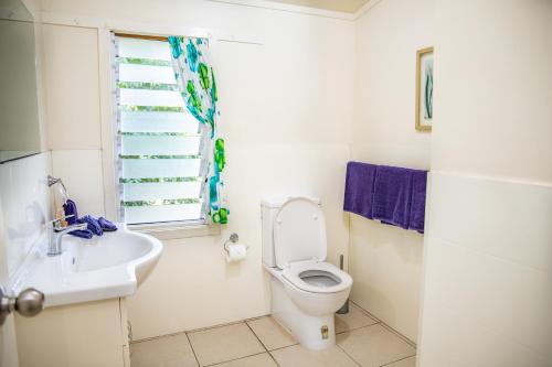 拉罗汤加珊瑚金沙公寓酒店的一间带卫生间、水槽和窗户的浴室