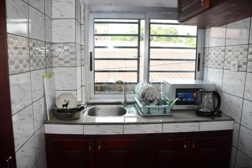 杜阿拉Spetiv Guesthouse的厨房设有水槽和窗户。