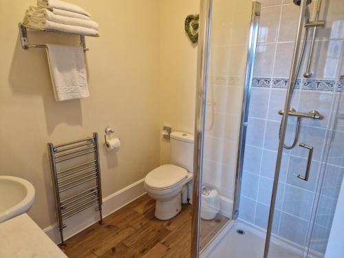 克里安拉利Craigbank Guest House的一间带卫生间和淋浴的浴室
