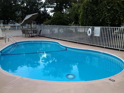 布兰森布兰森柳树酒店的院子里的大型蓝色游泳池