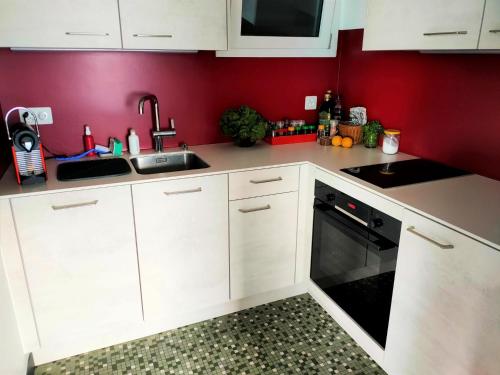 隆科索普拉阿斯科纳"Pipistrello"的厨房配有白色橱柜和黑色洗碗机