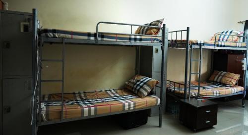 迪拜Topstay Boys Hostel & Furnished Holiday Home的客房内的两张双层床,狗儿在其中