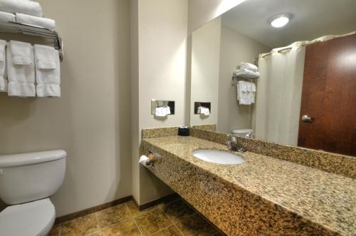 切罗基斯通布鲁克旅馆的一间带卫生间、水槽和镜子的浴室