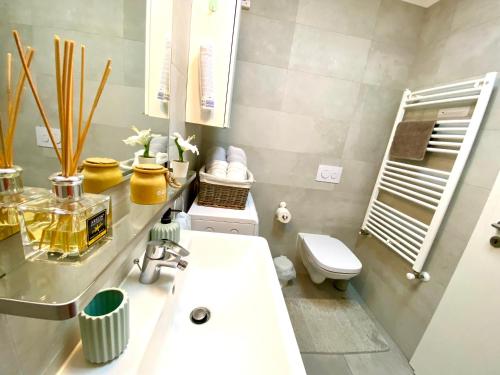 布拉索夫Relaxing Coresi Studio的浴室配有白色水槽和卫生间。