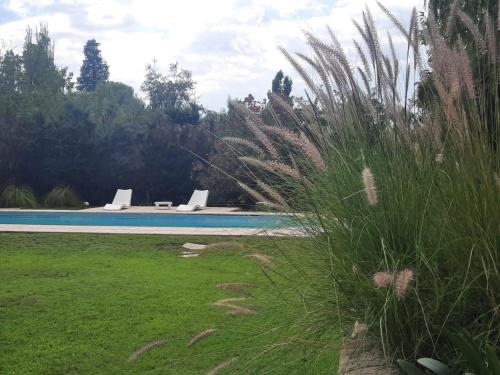 查克拉斯德科里亚HABITACION CON PISCINA Y PARQUE en Chacras de Coria的庭院内一个带两把躺椅的游泳池