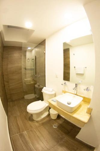 Iguala de la IndependenciaHOTEL REFORMA 14的一间带卫生间、水槽和镜子的浴室