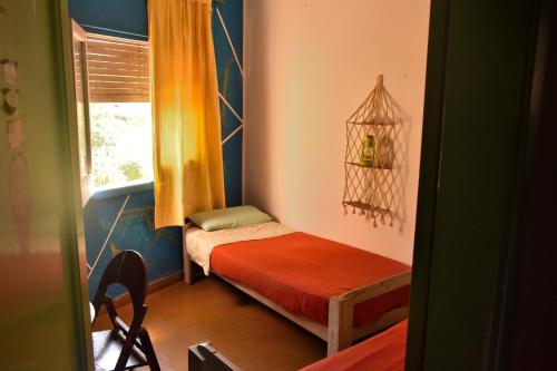 科尔多瓦Hostel Joven casa Reggae的小房间设有两张床和窗户