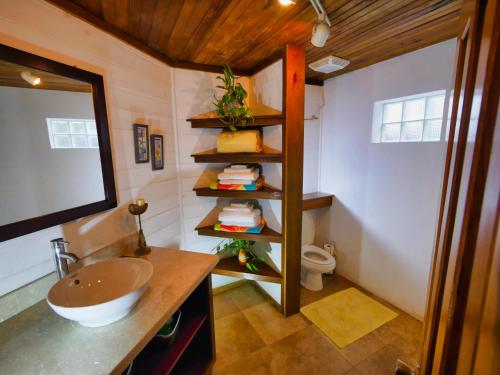桑迪湾Top Ridge Views - 2 Bedrooms的一间带水槽和卫生间的浴室