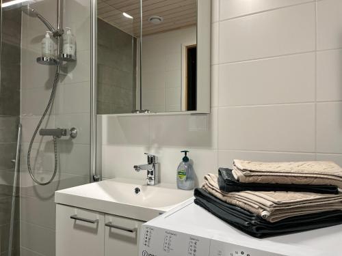 基蒂莱Levi, Tunturisaukko, ski-inn chalet的白色的浴室设有水槽和镜子