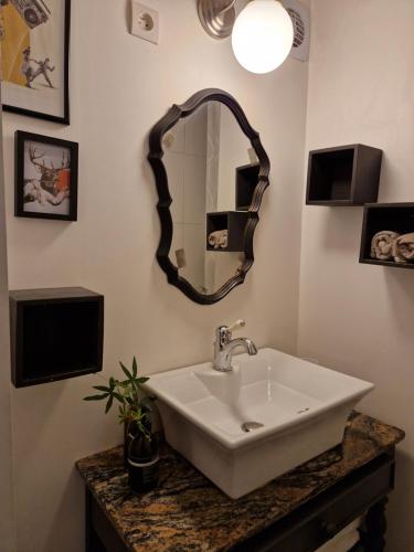 塔朗斯Albin le musicien的浴室设有水槽和墙上的镜子