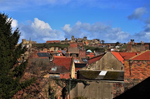 惠特比Abbey View Bagdale in the Centre of Whitby的享有带建筑和屋顶的城市美景