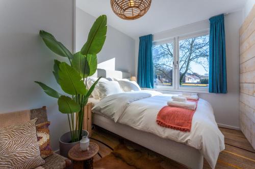 斯欣奥普赫尔Geulzicht Hotel的一间卧室配有一张带蓝色窗帘和植物的床