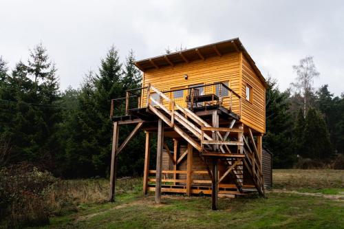 VšelibiceTiny House nad Českým rájem的田野上带有楼梯的树屋
