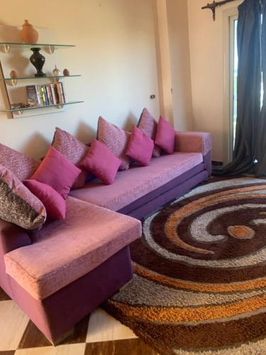 赫尔格达SKY Management的客厅配有带粉红色枕头的紫色沙发