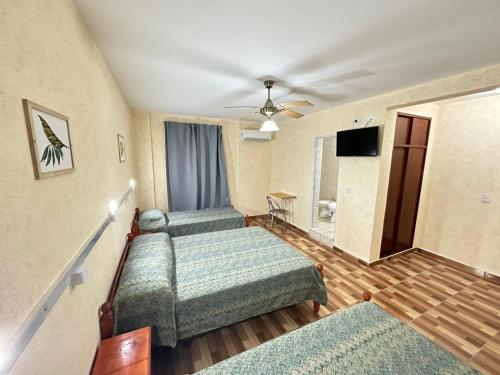 布宜诺斯艾利斯Centro1555的客房设有三张床和一台平面电视。
