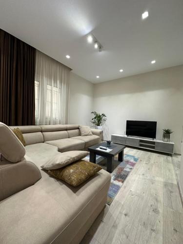 地拉那Brilant Apartament的带沙发和平面电视的客厅