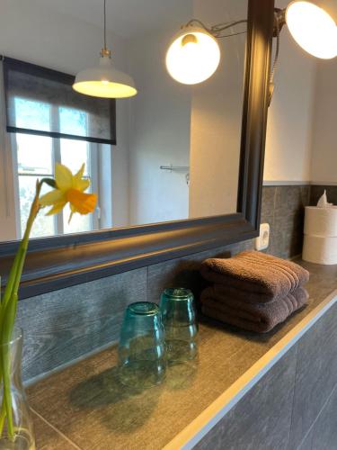 巴特多布兰Gästehaus Kleiner Wacholder的浴室水槽设有镜子、毛巾和花卉