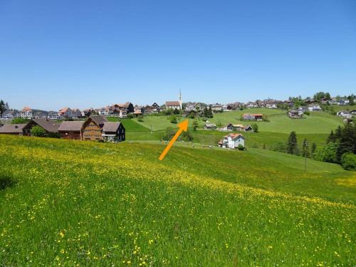 SchwellbrunnFerienwohnung in Schwellbrunn的一片绿草,上面有黄色箭头