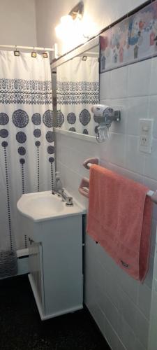 坦迪尔Alquiler Tandil的一间带水槽和淋浴帘的浴室
