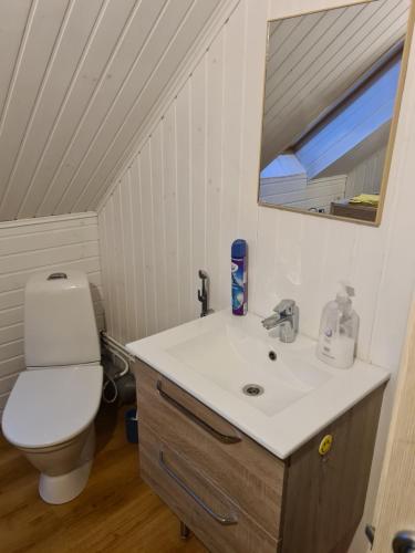 VilusiRähni Guesthouse Lake Peipsi的一间带水槽和卫生间的浴室