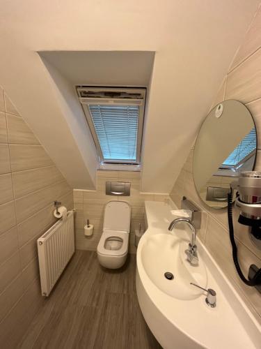 索尔陶吾王酒店 的一间带水槽、卫生间和镜子的浴室
