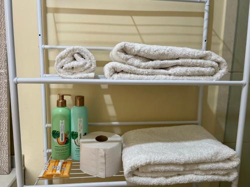 利马Departamento céntrico y moderno, exelente ubic.的浴室内带毛巾和清洁用品的毛巾架