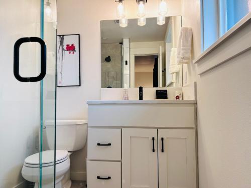 博伊西VogueTown的一间带水槽、卫生间和镜子的浴室