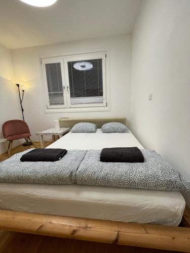 维也纳Nice rooftop hostel的一间带床的卧室,位于带窗户的房间内
