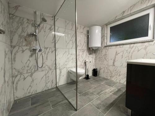 森克Green Oasis Garden的浴室设有玻璃淋浴间和卫生间