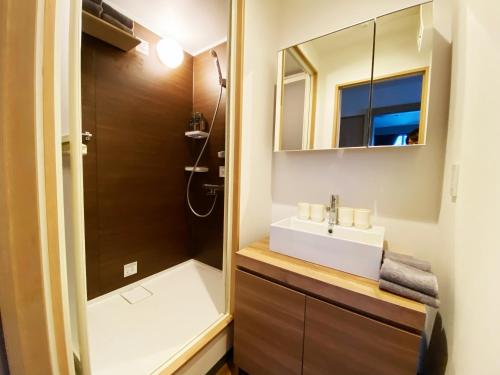 二世古Q FOX BLACK DIAMOND HOTEL的一间带水槽和淋浴的浴室