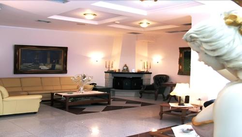 科莫蒂尼凯瑞迪丝酒店的带沙发和壁炉的客厅