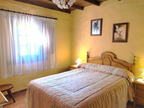 伊科德洛斯维诺斯Finca Llano de la cebolla的一间卧室设有一张大床和一个窗户。