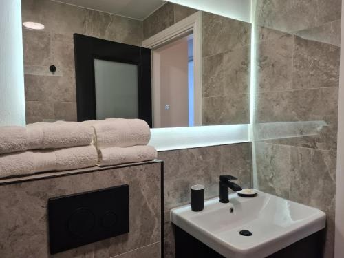 都柏林彭布罗克套房公寓的一间带水槽和镜子的浴室