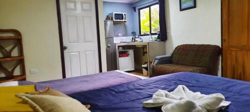 福尔图纳Granja Agua Azul.A/C WiFi,2 Camas, Rio, jardines.的一间卧室配有一张床、一把椅子和一个水槽
