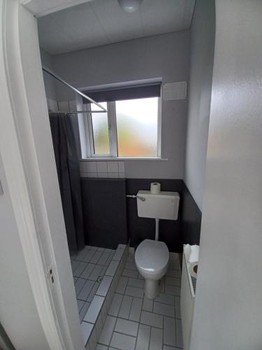 特拉利Eva Lodge的一间带卫生间和窗户的小浴室