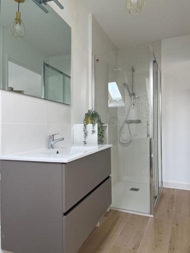 Pocé-sur-CisseCœur de Loire的白色的浴室设有水槽和淋浴。