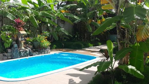 伊列乌斯Pousada Rainha das Águas的花园内的游泳池