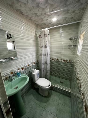 AygutAygut Guest House的一间带卫生间和水槽的浴室