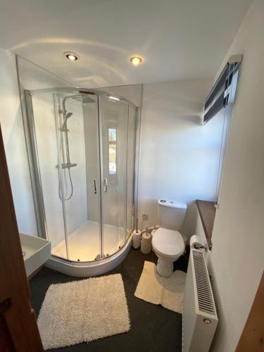 阿伯劳尔Ben View Aberlour Luxury Barn Conversion的带淋浴和卫生间的浴室