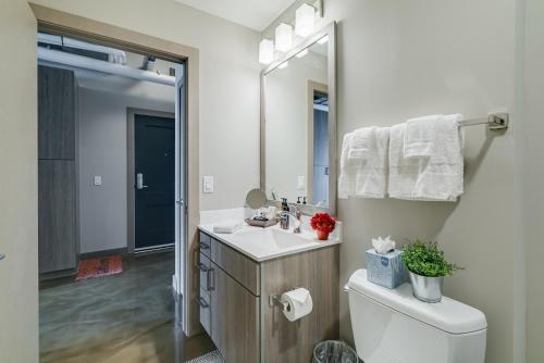 明尼阿波利斯Sable 87 - One Bedroom的一间带水槽、卫生间和镜子的浴室