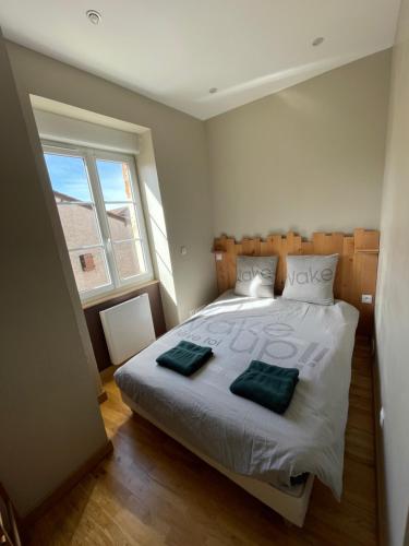 Saint-Maurice-de-SatonnayGîte de la Grenouillette的一间卧室配有一张带两个绿色枕头的床
