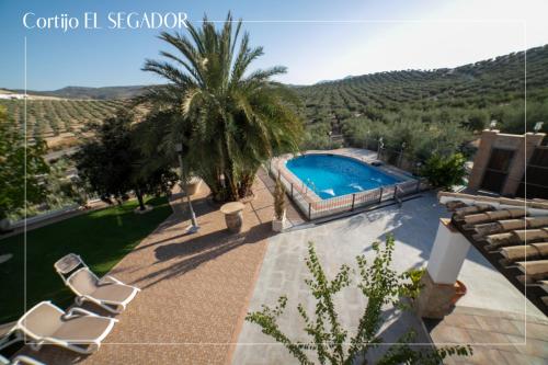 AlmedinillaCortijo El Segador y El Capricho的一座别墅,设有游泳池和棕榈树