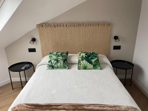 菲尼斯特雷Hotel Playa de Sardiñeiro的一张床上有两个枕头的房间