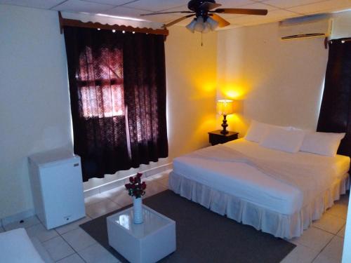 San JorgeHotel Dalinky的一间卧室配有一张床和吊扇